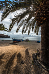 Fishing boats framed by palm leaves