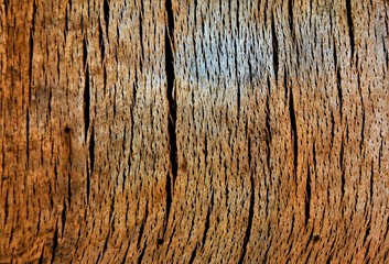 cracks on a dry wood