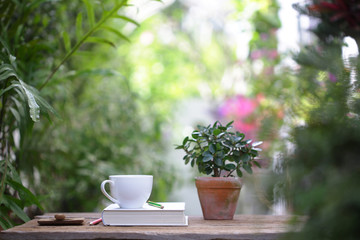 White coffee cup with small plant in old brown pot with white thick book on wooden table at outdoor with nature bokeh background