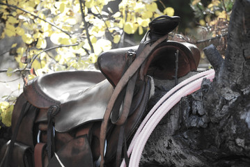 ranch saddle