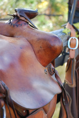 saddle