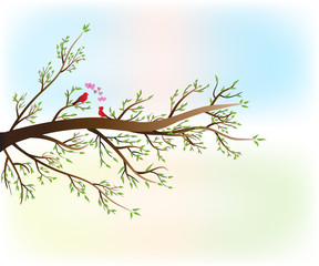 Love Birds on branch tree of love hearts spring vector background