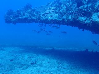 Obraz premium Wreck of the Rhone