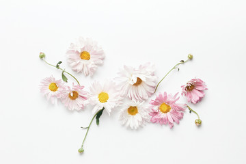 floral composition. beautiful flowers, buds and leaves of chrysanthemums on a white background. flat lay, top view, minimal concept
