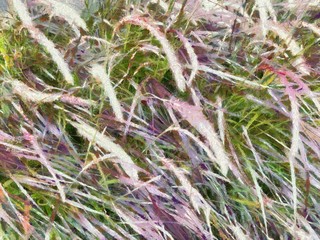 White and purple mixed grass flowers Illustrations creates an impressionist style of painting.