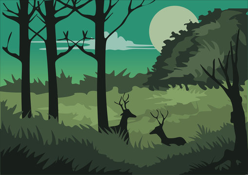 forest view for background and illustration image