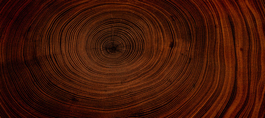 Old wooden oak tree cut surface. Detailed warm dark brown and orange tones of a felled tree trunk or stump. Rough organic texture of tree rings with close up of end grain. - obrazy, fototapety, plakaty