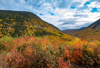 Crawford Notch 8