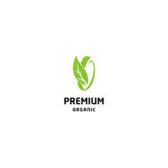 O logo with leaf element vector design 