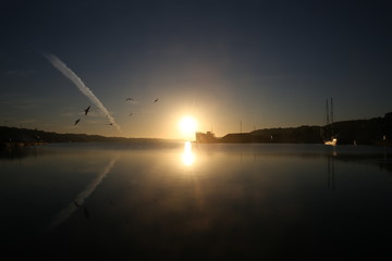 Sunrise seagulls over the sea 