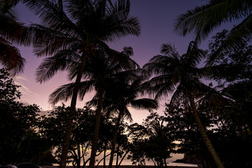 sunset on the beach