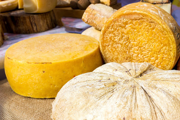 various types of tasty cheese on a background of wood