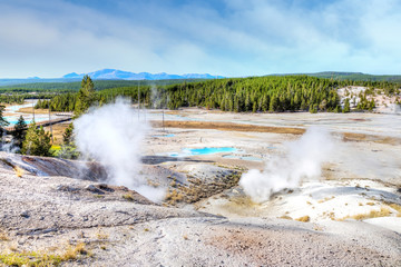 Porcelain Basin Trail at Norris Geyser Basin in Yellowstone National Park