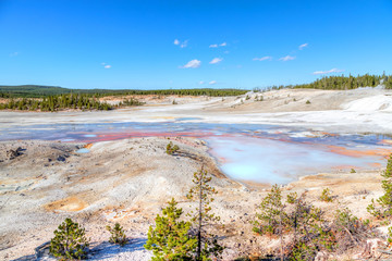 Porcelain Basin Trail at Norris Geyser Basin in Yellowstone National Park