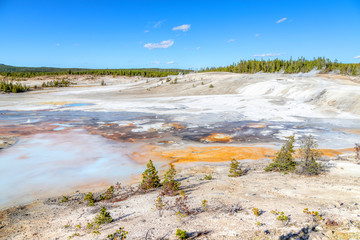 Porcelain Basin Trail at Norris Geyser Basin in Yellowstone National Park