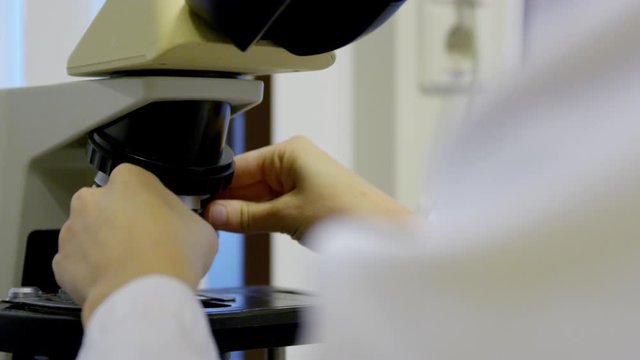 Female clinical laboratorist putting laboratory samples on glass plates under microscope