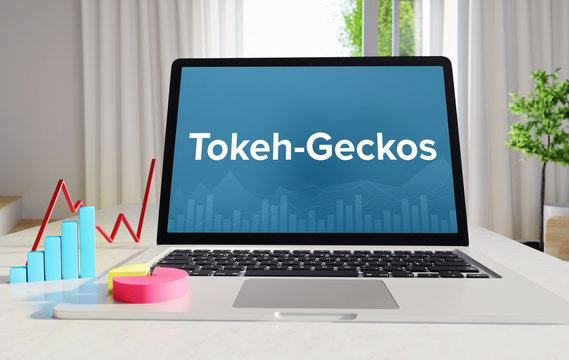 Tokeh-Geckos &ndash; Business/Statistik. Laptop im B&uuml;ro mit Begriff auf dem Monitor. Finanzen/Wirtschaft.