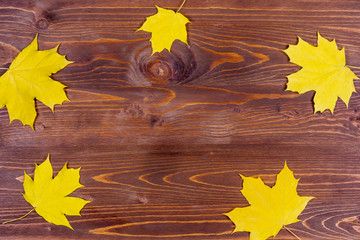 bright yellow leaves close up on a brown wooden background with a copyspace in the center , autumn fall , colorful october