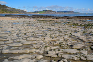 Beach near Charmouth, Dorset during lo tide