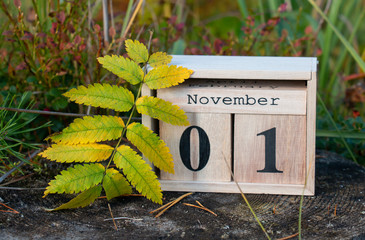 White calendar block present 1 and month of November against the backdrop of the forest and leaves of mountain ash
