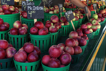 Organic, fresh farm grown apple. Ecologic natural vegetable background.