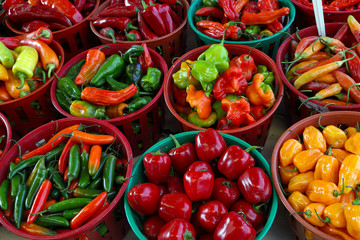 Organic, fresh hot pepper. Ecologic natural vegetable background.