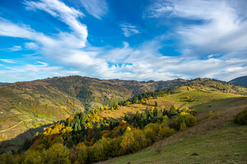 Fototapeta na wymiar Yellow autumn forest in the mountains