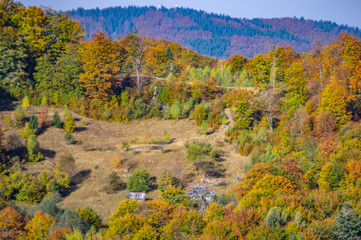 Yellow autumn forest in the mountains