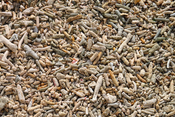 Korallenkiesel auf Bonaire