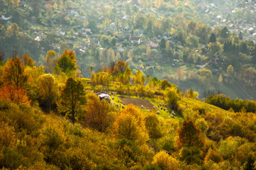 Yellow autumn forest in the mountains