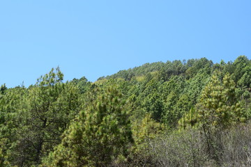 Beautiful landscape in eastern part of Nepal hillside