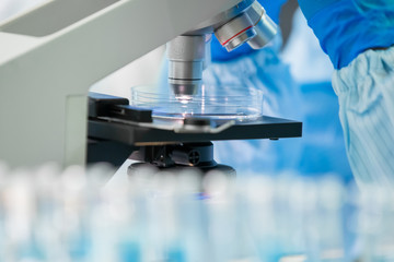microscope and petri dish