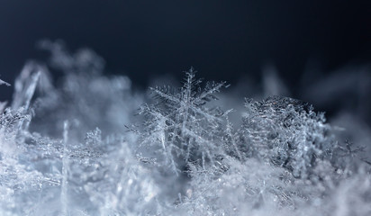 natural snowflakes on snow, winter