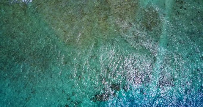 Small coral structures, Foa Island Reef System, unhealthy coral reef, texture or background water shot,Aerial high angle view