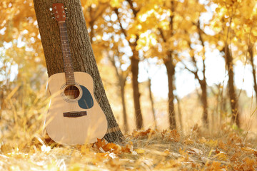 Modern acoustic guitar in park on sunny day