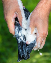 A man washes his hands on socks in nature