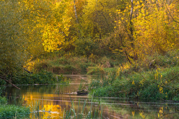 Jesień, rzeka Bzura w Lesie - obrazy, fototapety, plakaty