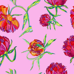 beautiful floral seamless pattern, watercolor peonies on a soft pink background, large flower buds.