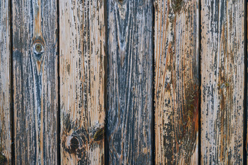 Wooden wall texture, old wood background