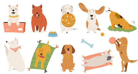 Colorful bundle of playful and funny dogs