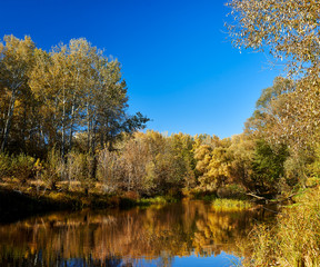 Fototapeta na wymiar Autumn forest on the riverbank