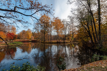Fototapeta na wymiar Well-kept park with ponds and beautiful colorful trees on a sunny autumn day