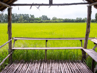 A rural hut beside the field. Can see the natural view From the window.