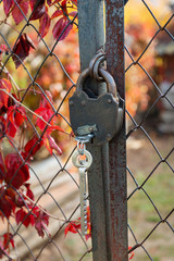 old padlock on a rusty wire mesh gate