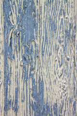 The wood floor with the flake,  Wood board peeling paint texture