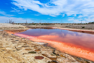 Bright red water in the lake due to a red algae bloom. Also, some exposed tilapia nests.