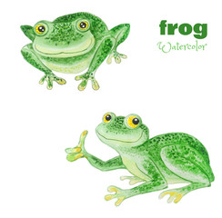 Set of green frog with bulging eyes isolated on a white background.