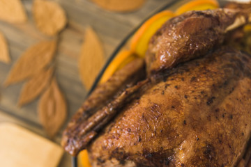 Backed chick near foliage