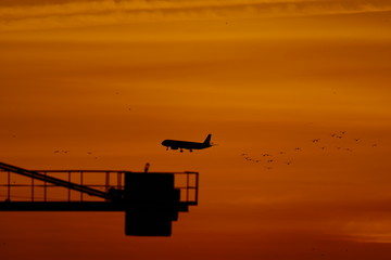 crane plane  avion volando sobre cielo anaranjado del atardecer