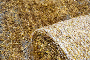 Straw bale in the field